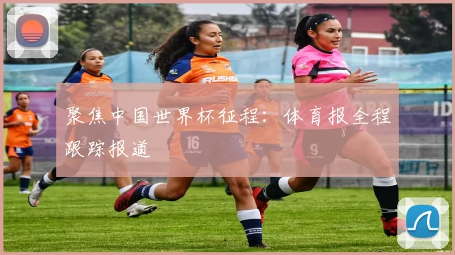聚焦中国世界杯征程：体育报全程跟踪报道