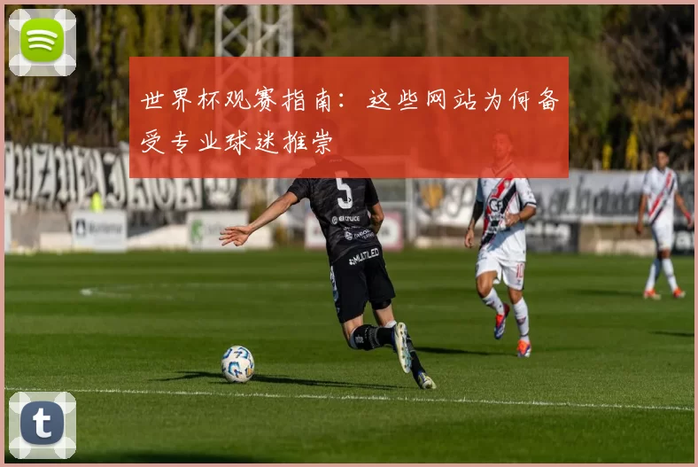 世界杯观赛指南:这些网站为何备受专业球迷推崇