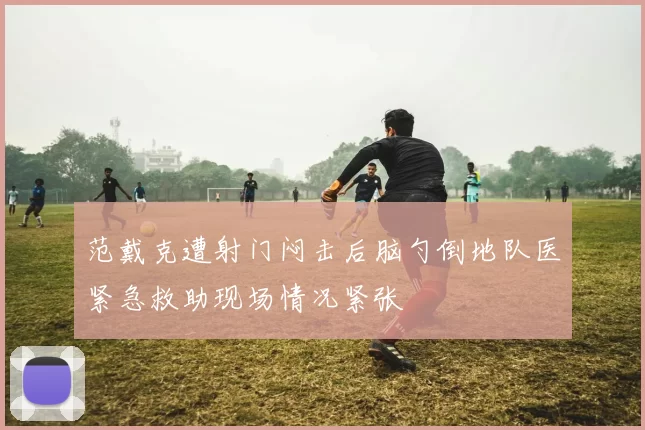范戴克遭射门闷击后脑勺倒地队医紧急救助现场情况紧张