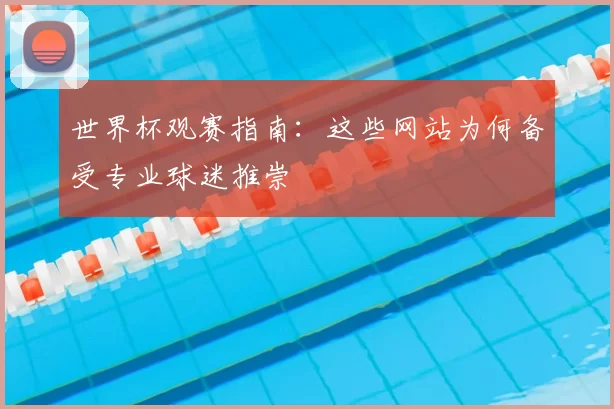 世界杯观赛指南:这些网站为何备受专业球迷推崇