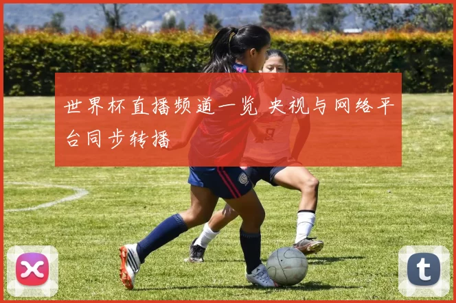 世界杯直播频道一览 央视与网络平台同步转播