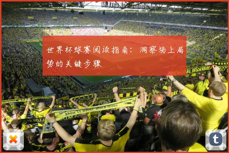 世界杯球赛阅读指南：洞察场上局势的关键步骤