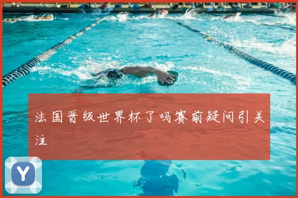 法国晋级世界杯了吗赛前疑问引关注