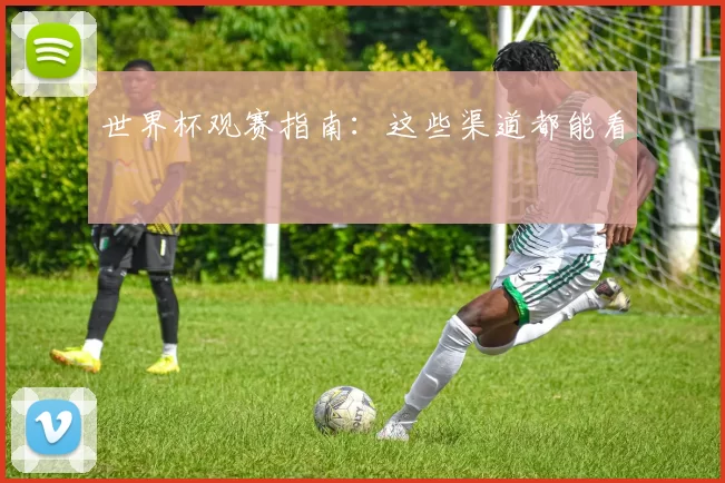 世界杯观赛指南：这些渠道都能看