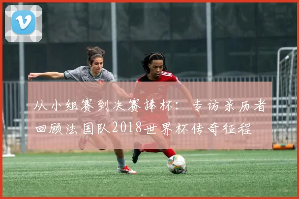 从小组赛到决赛捧杯：专访亲历者回顾法国队2018世界杯传奇征程