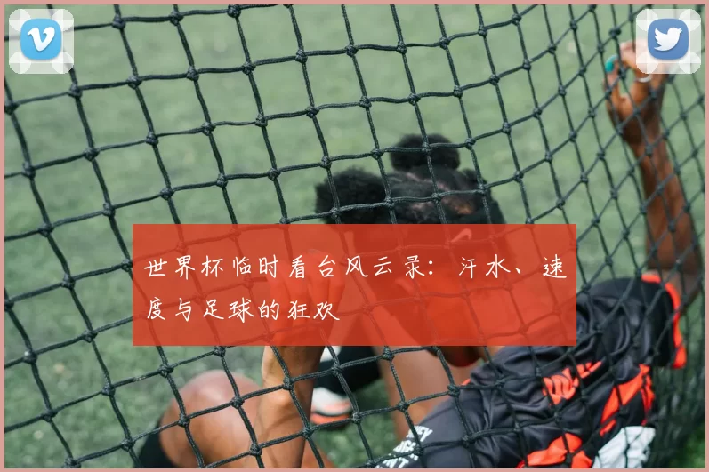 世界杯临时看台风云录：汗水、速度与足球的狂欢