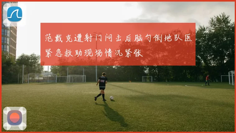 范戴克遭射门闷击后脑勺倒地队医紧急救助现场情况紧张